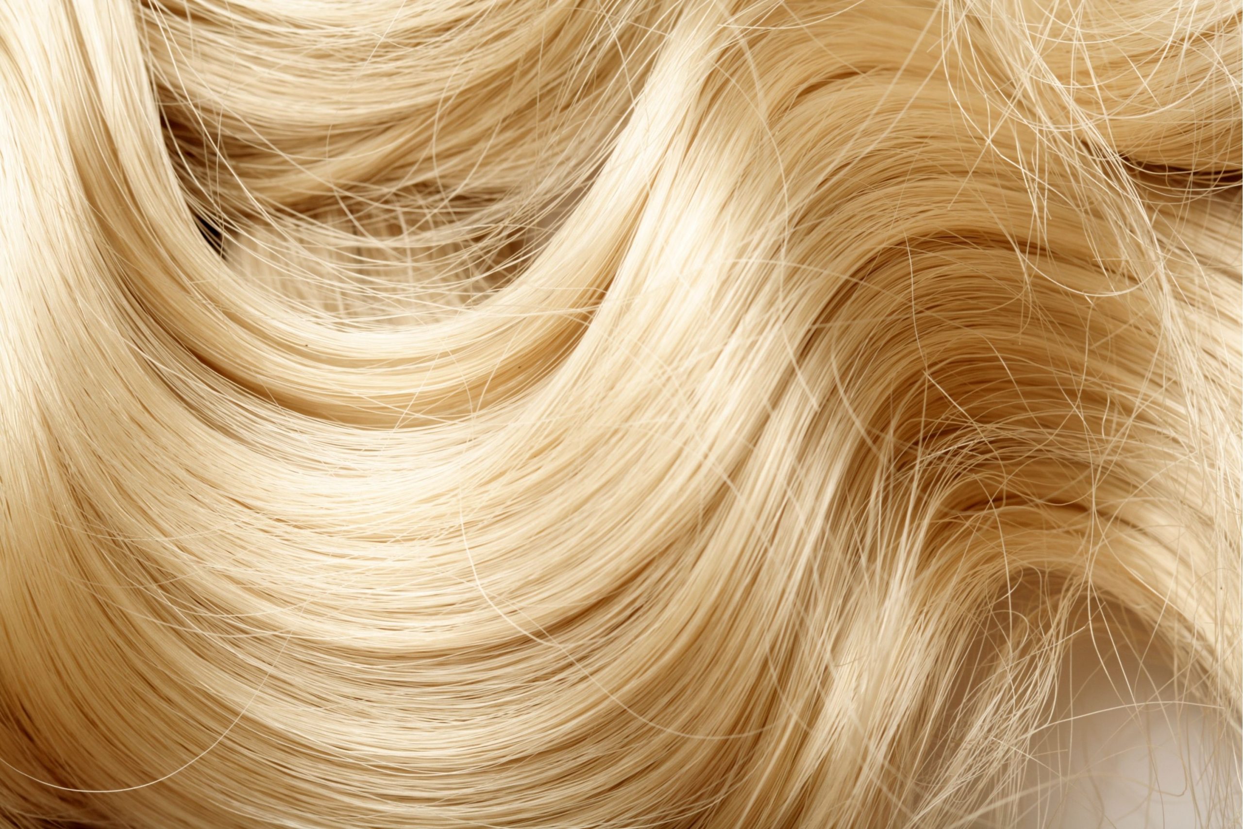How Much Does It Cost to Bleach Your Hair? - Beezzly