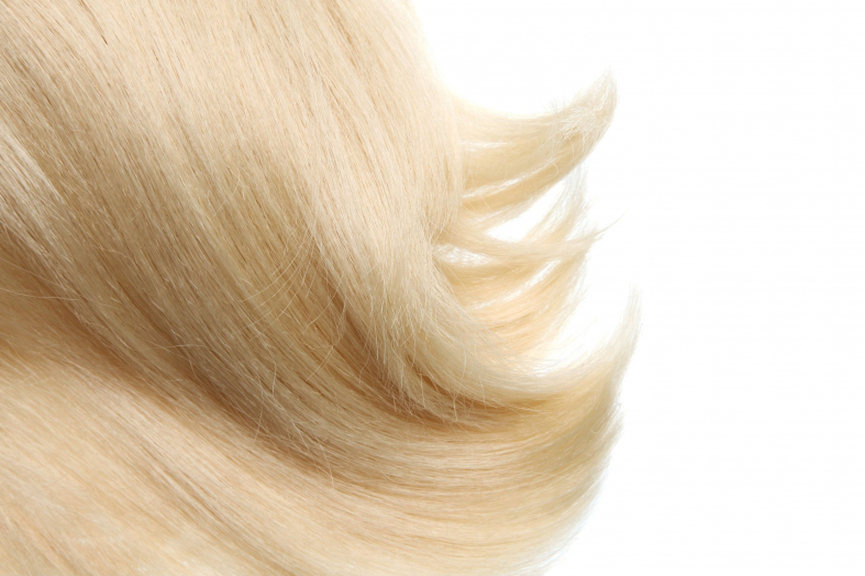 10. The Pros and Cons of Going Bleach Blonde for Hillbilly Hair - wide 7