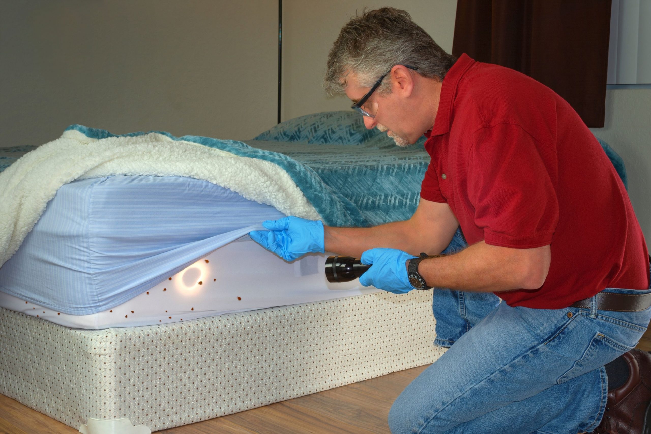 holes is memory foam mattress from bed bugs