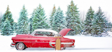 how to protect your car from snow without a garage