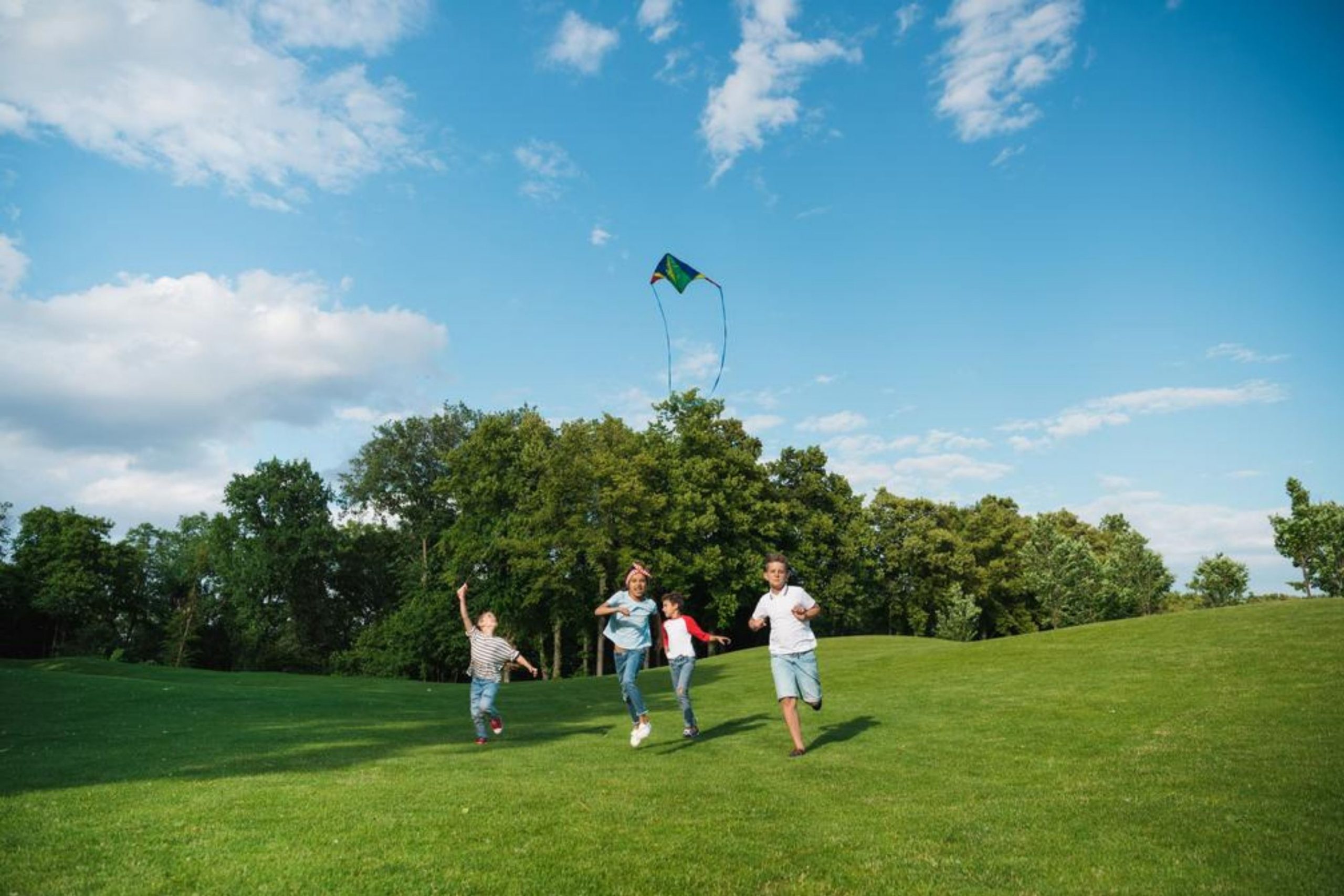 The Weather Was really Nice, So We All Had a Family Picnic In the Park