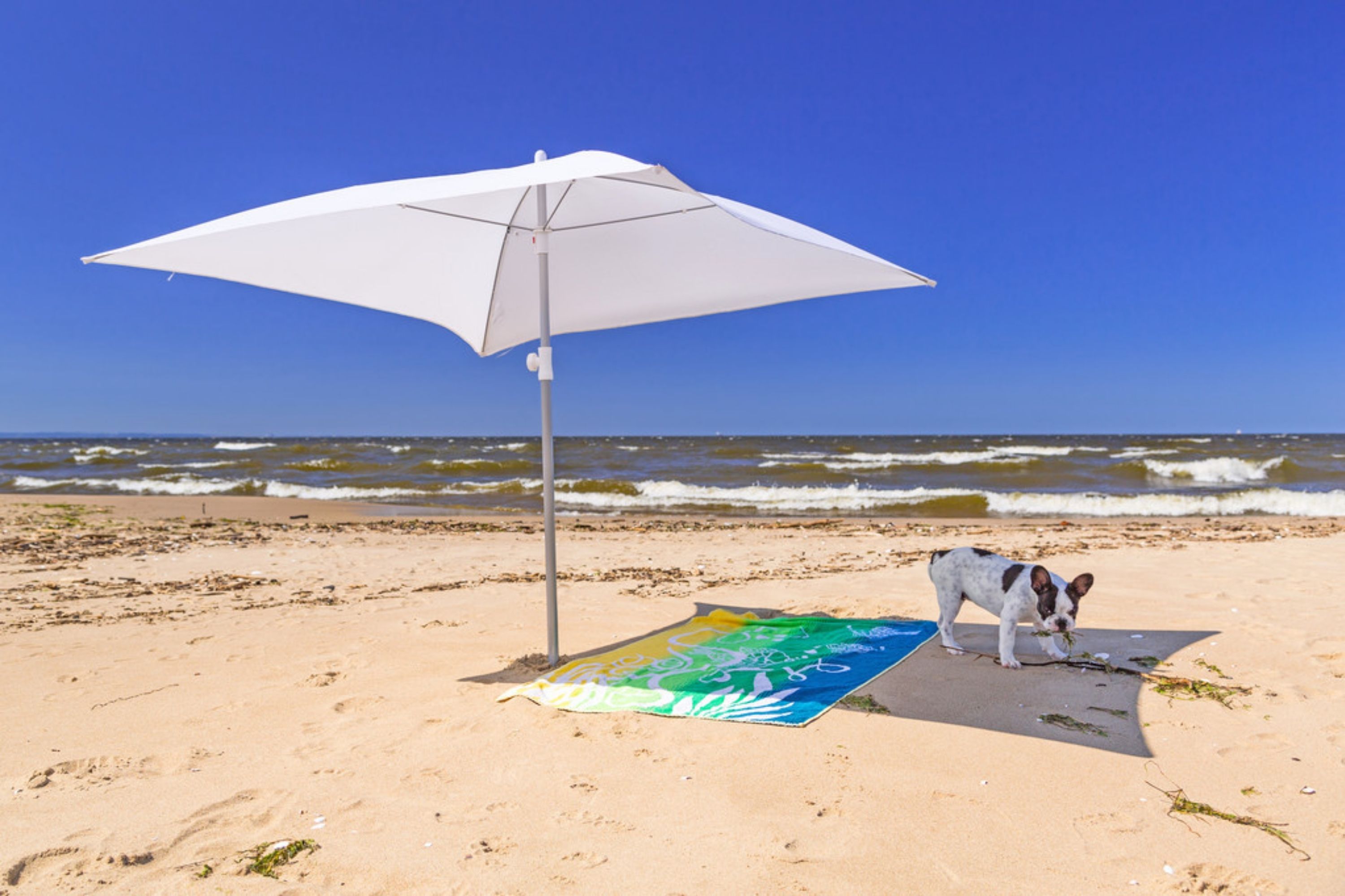 What makes Sand Cloud Towels So Special