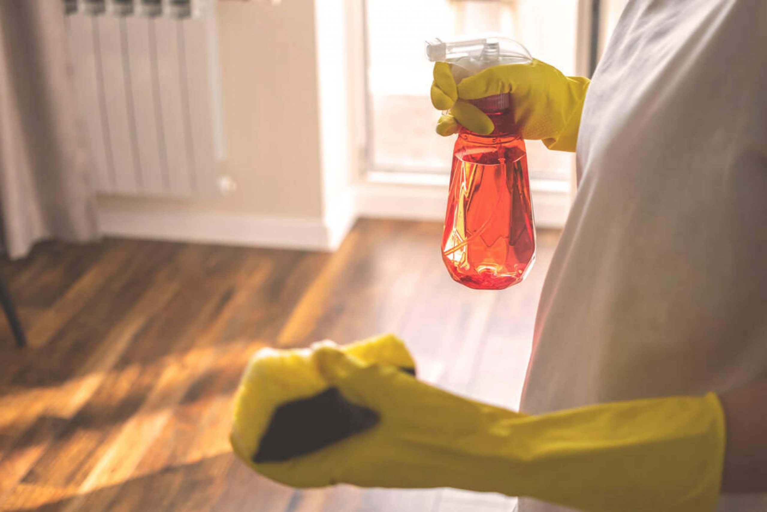 How to Keep Your Rented Property Clean. Tips And Life Hacks