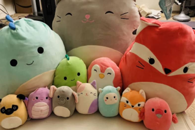 How to Wash Squishmallows