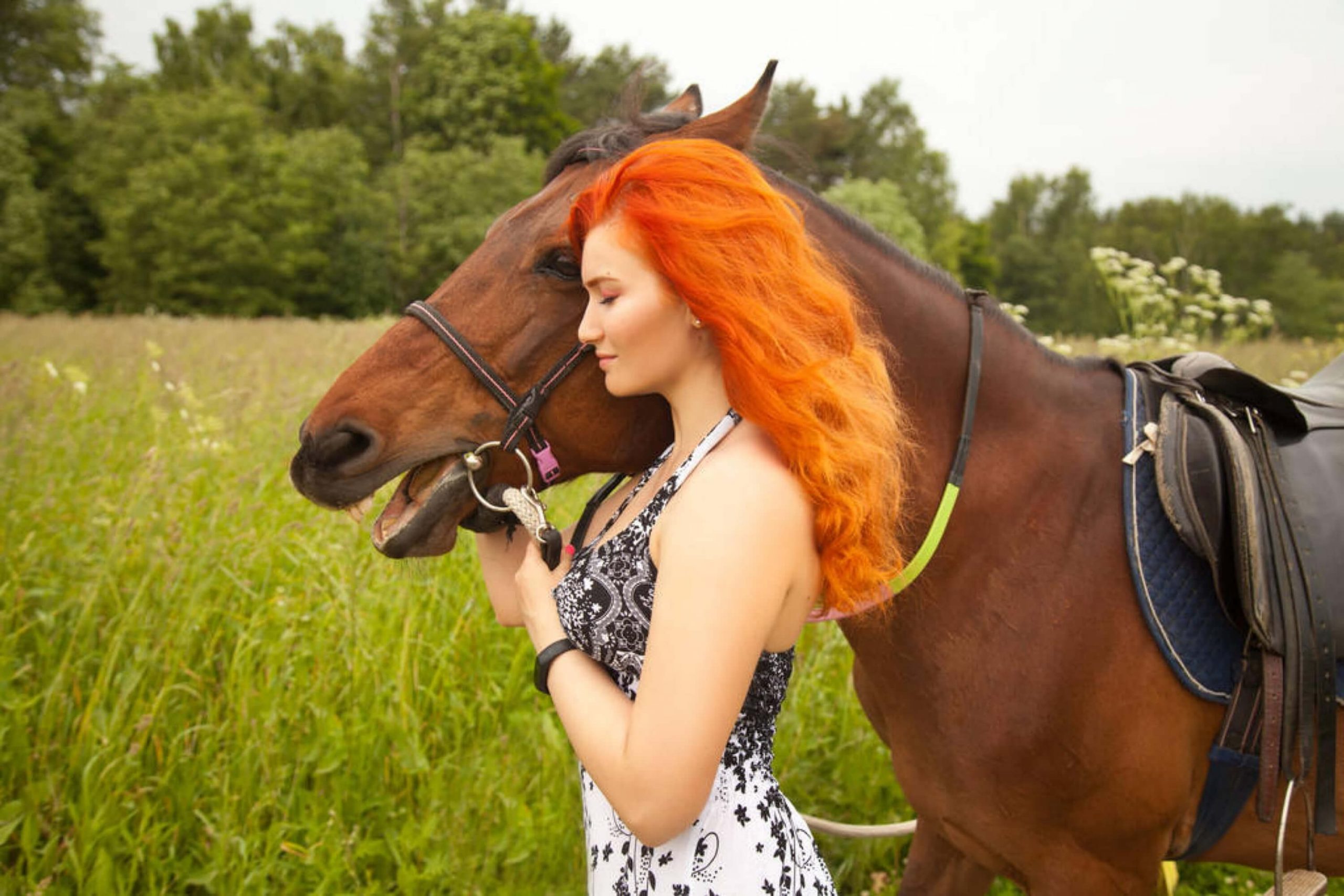 Make Sure You Apply It to the Colored Or Brassy Hair Correctly