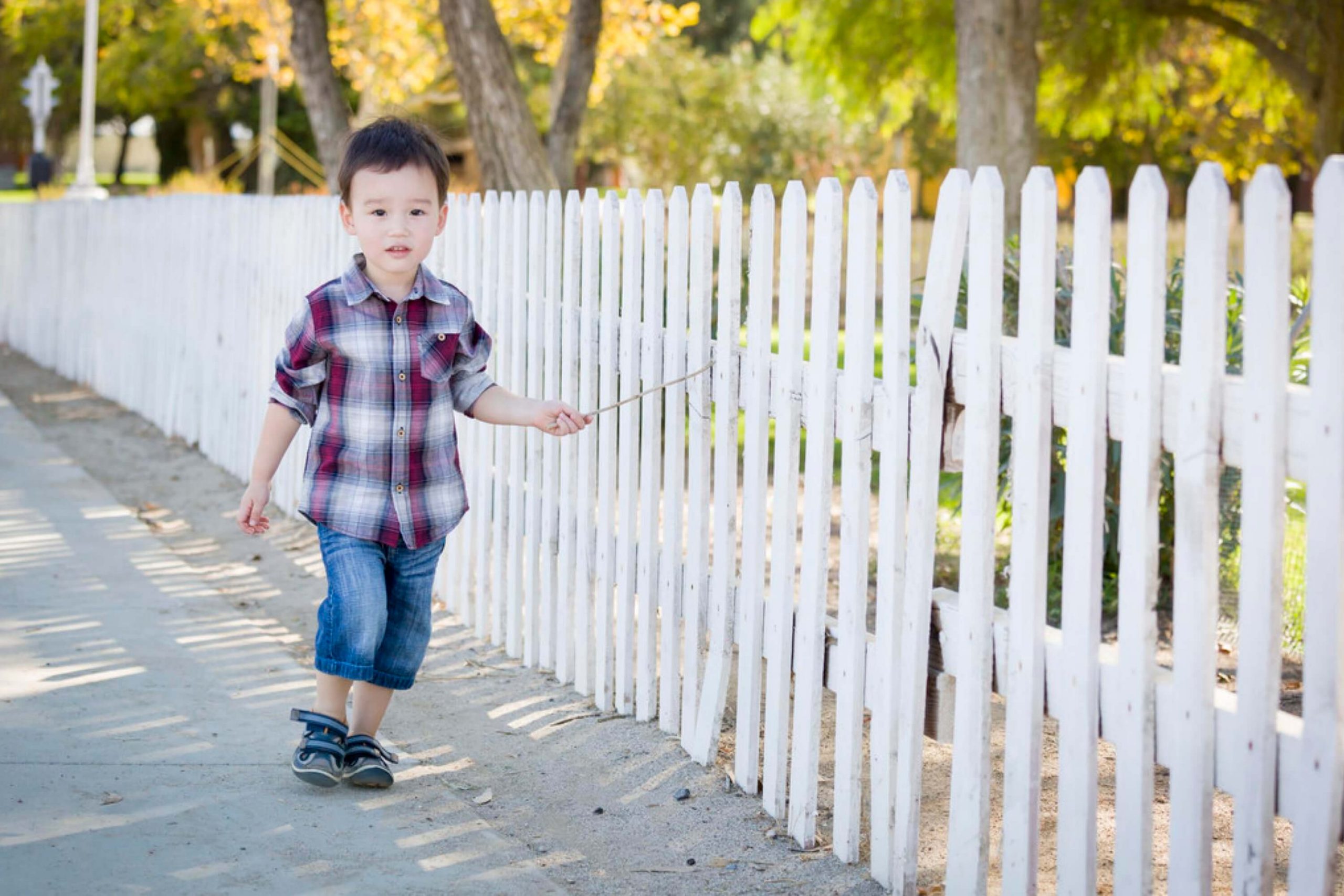 What Steps to Take When Your Fence Is Damaged