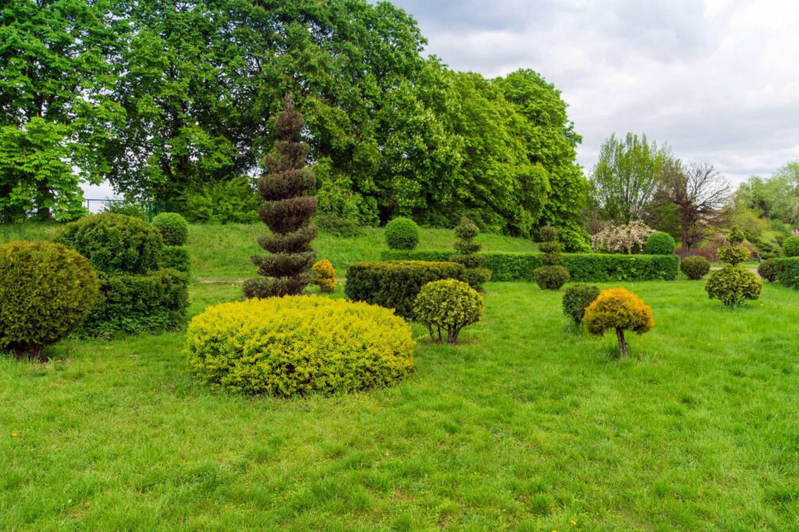 Artificial topiary and shrubs