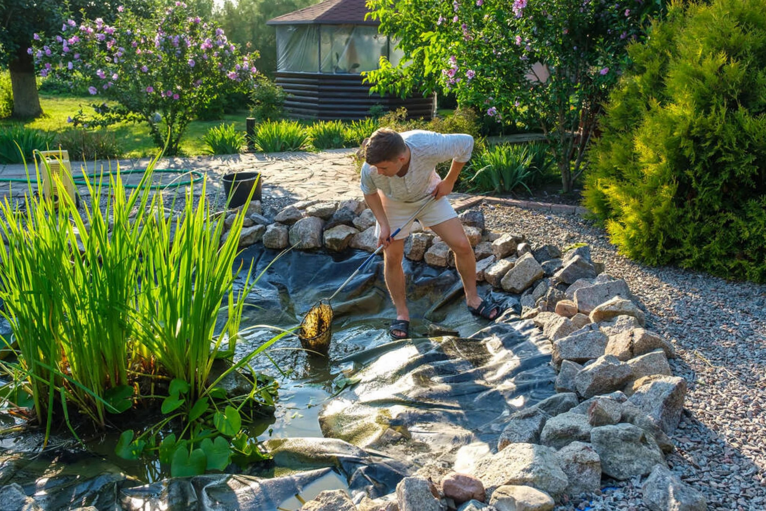 Cheap Ways to Cover Dirt In Backyard