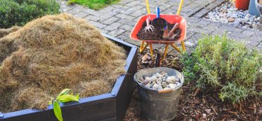 How to Cover Dirt In Backyard For Party