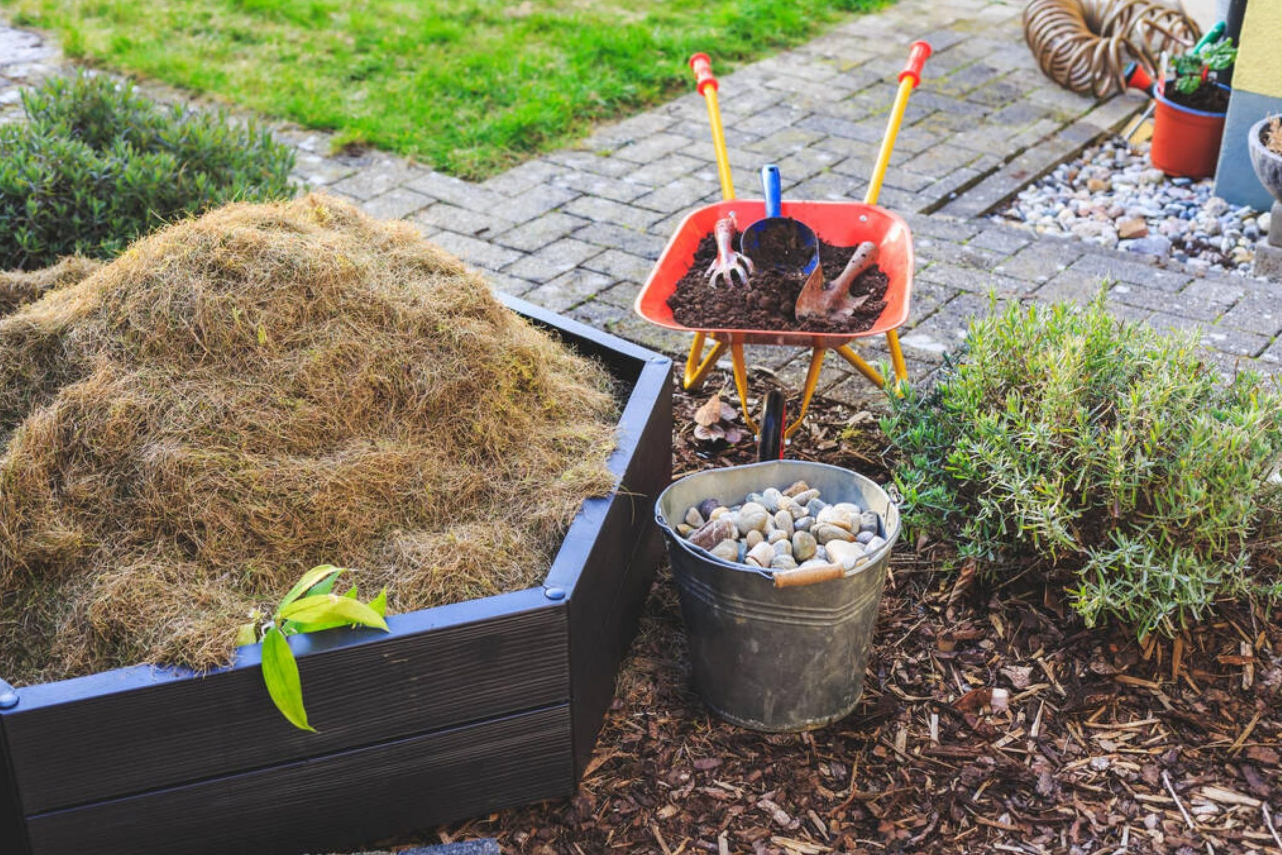 How to Cover Dirt In Backyard For Party