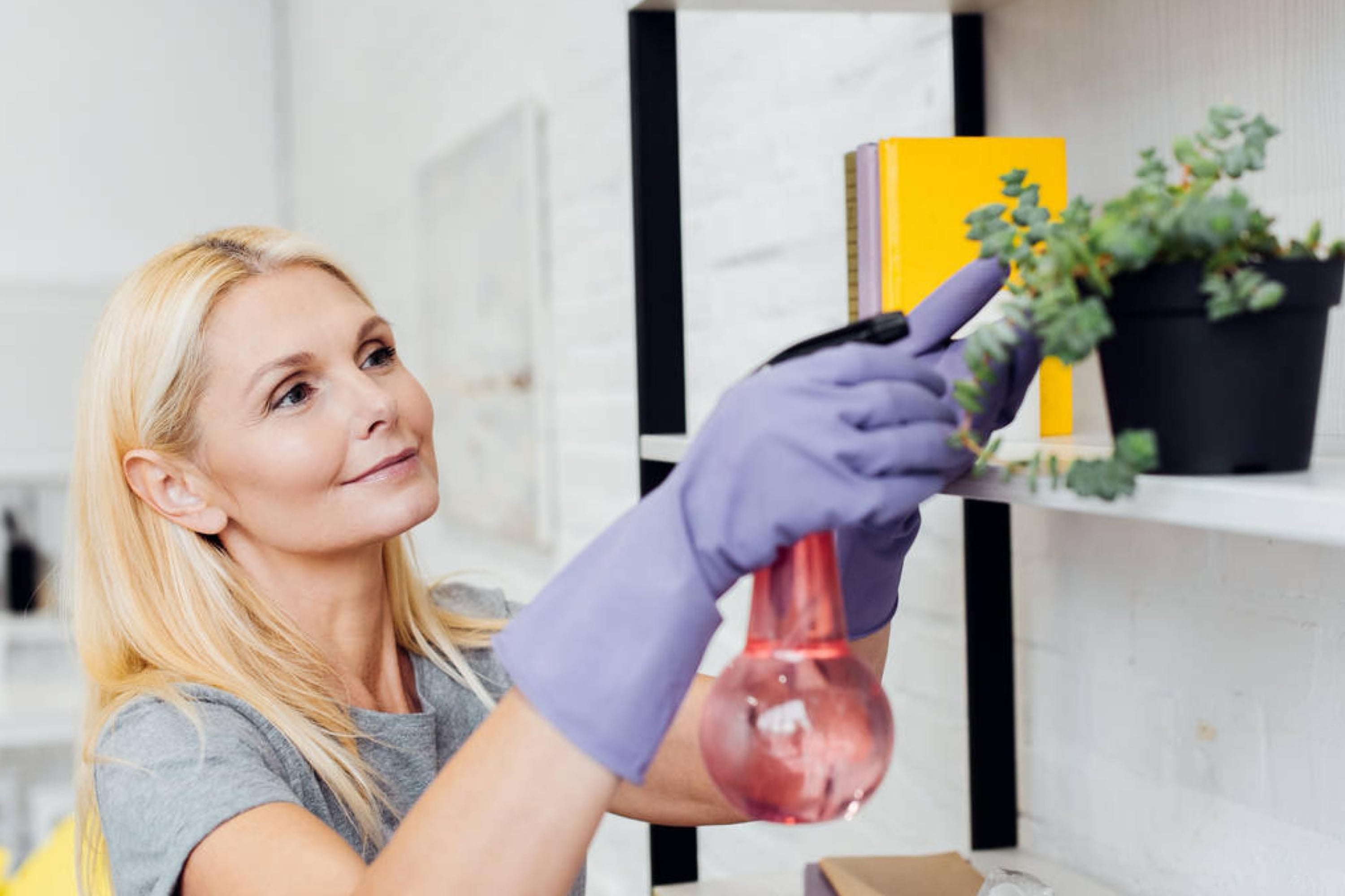 Spray the Soap Solution On the Leaves