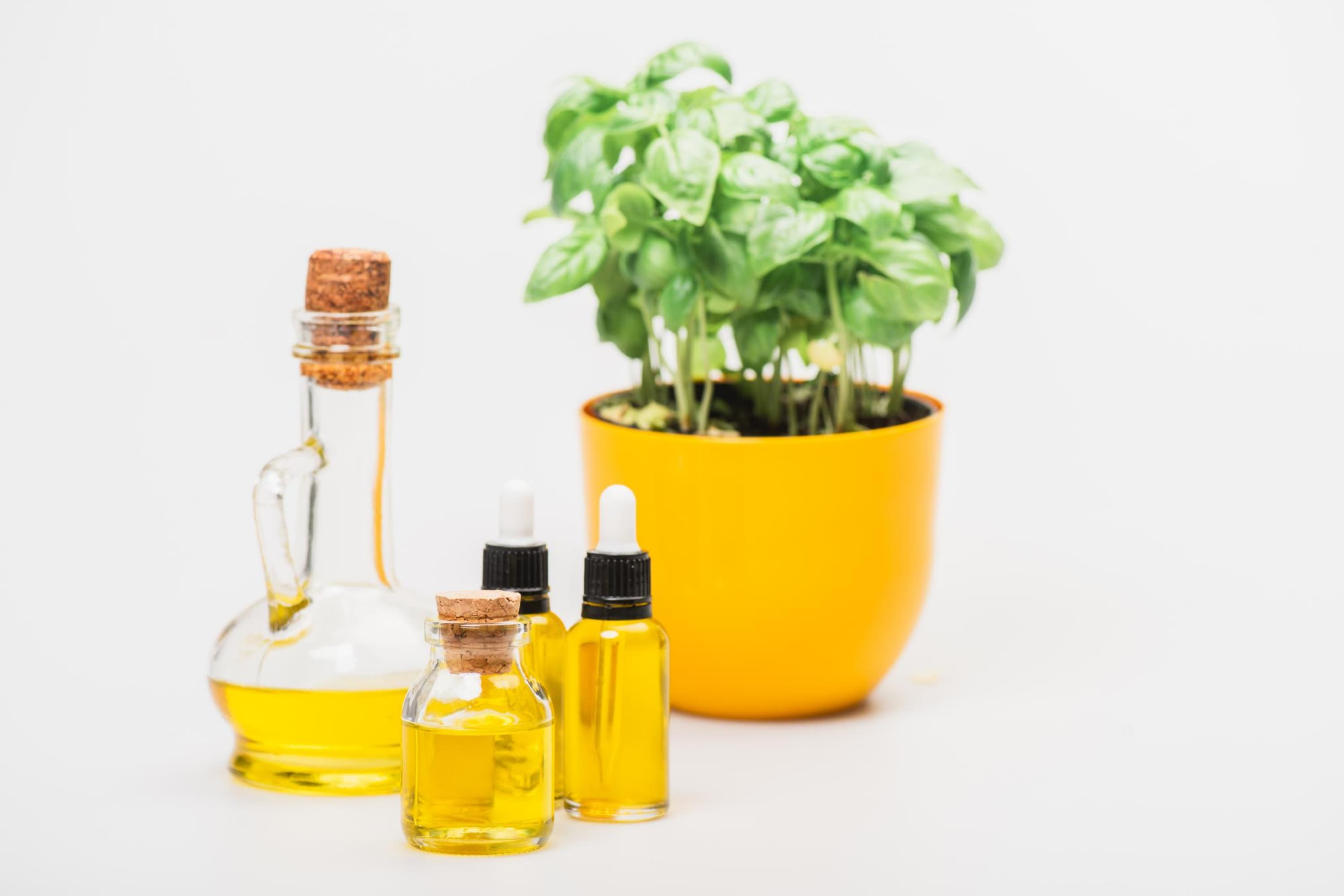 What You Should Know About the Potential Danger Neem Oil May Cause