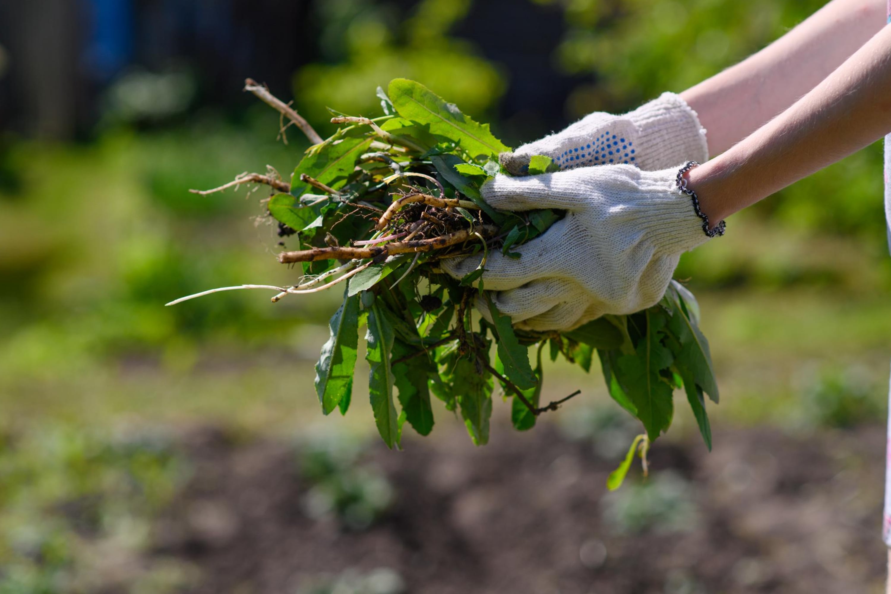 How to Keep Grass And Weeds From Growing In Gravel Driveway