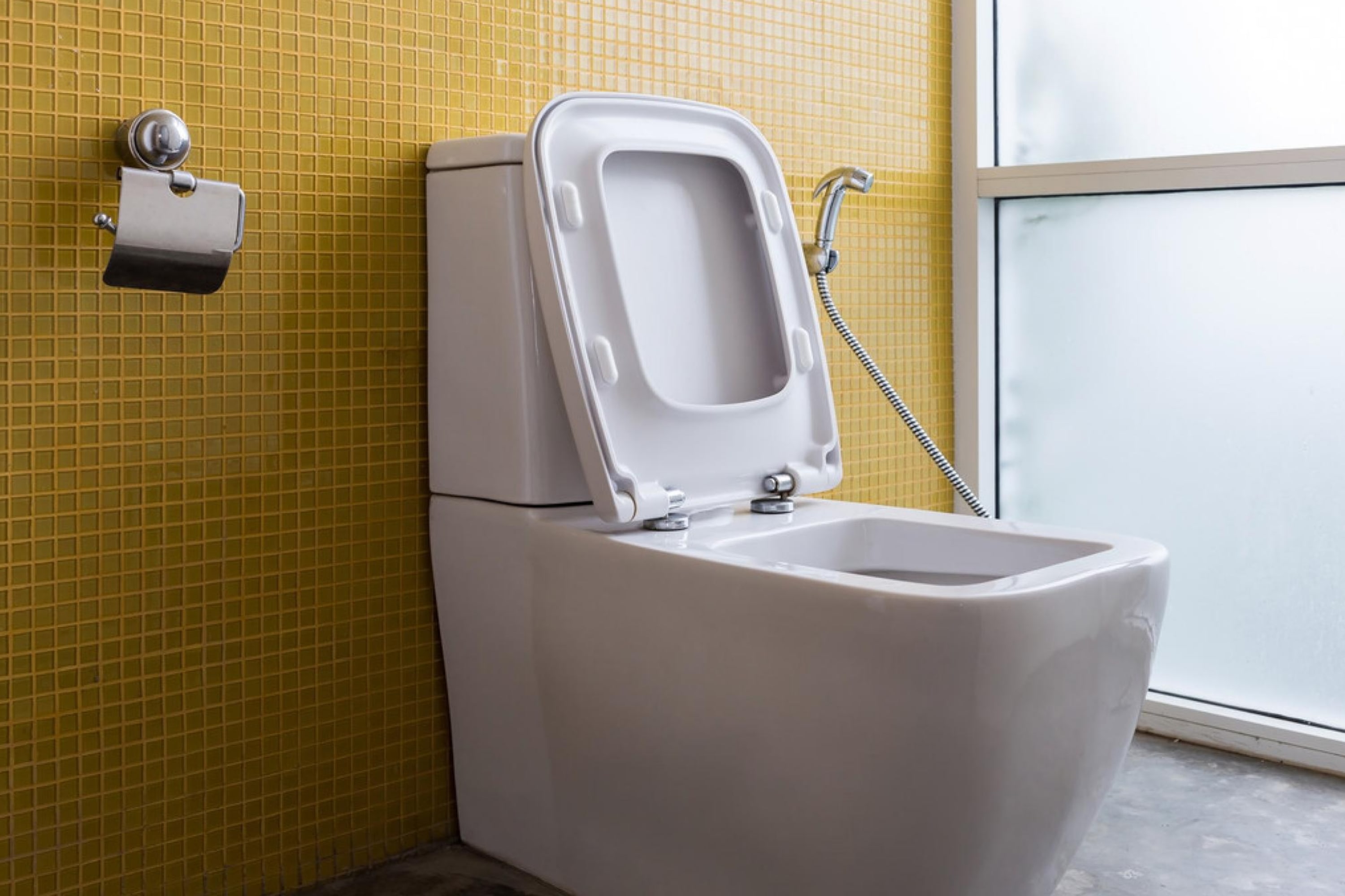 Use Toilet Paper to Dry Off After Using a Bidet