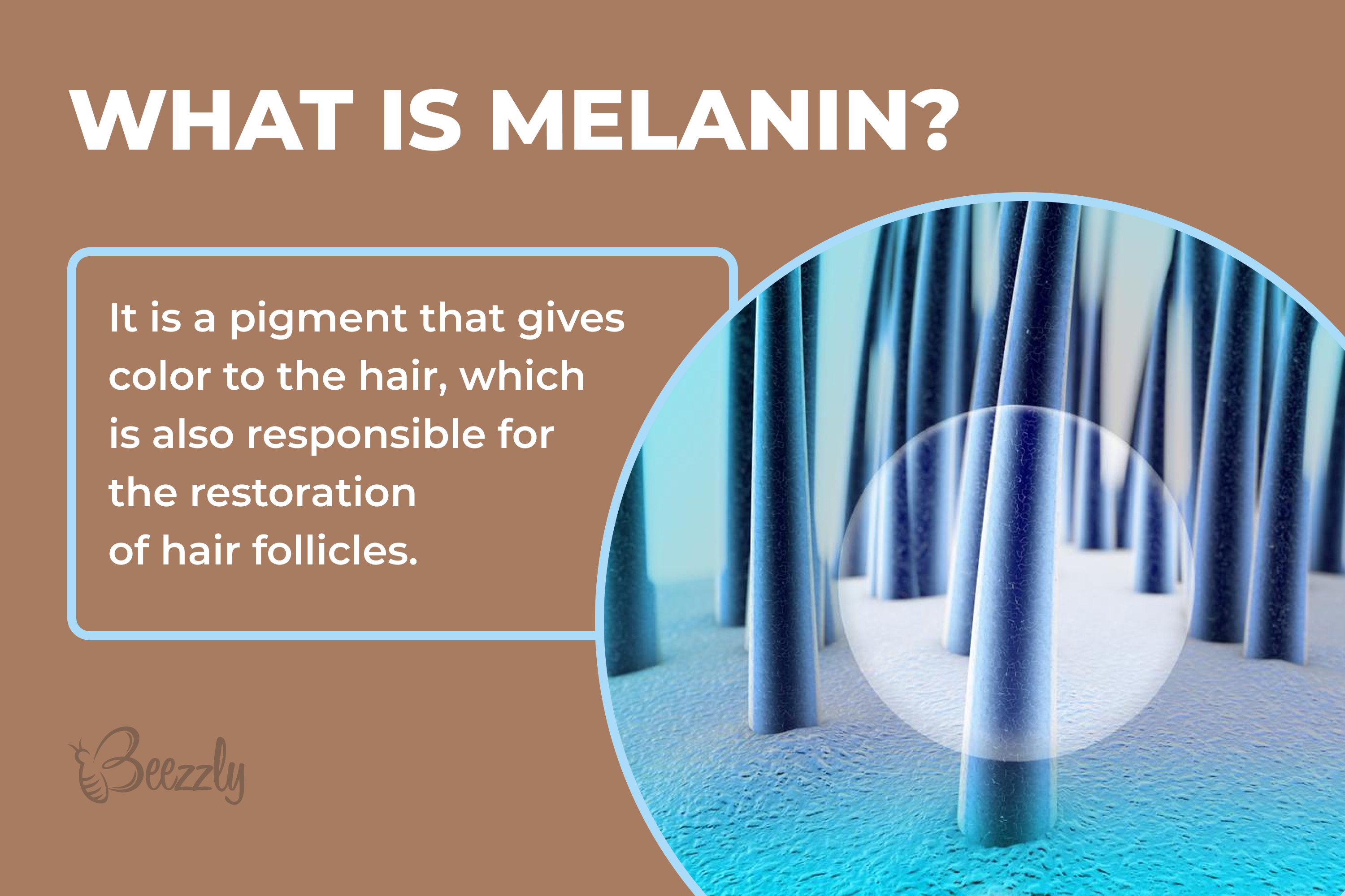 What is melanin