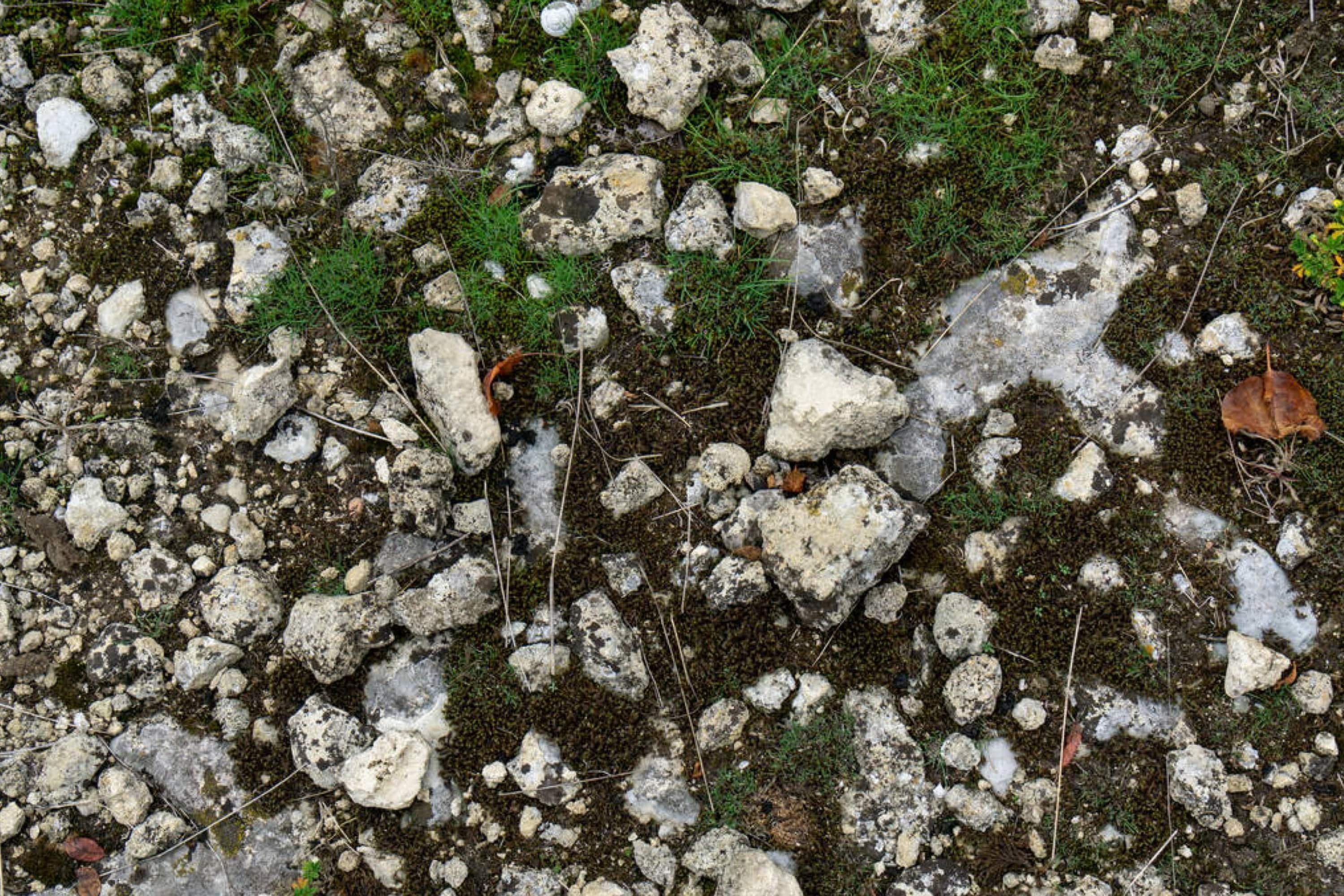 Why Do You Need Weed Control On Your Gravel Driveway