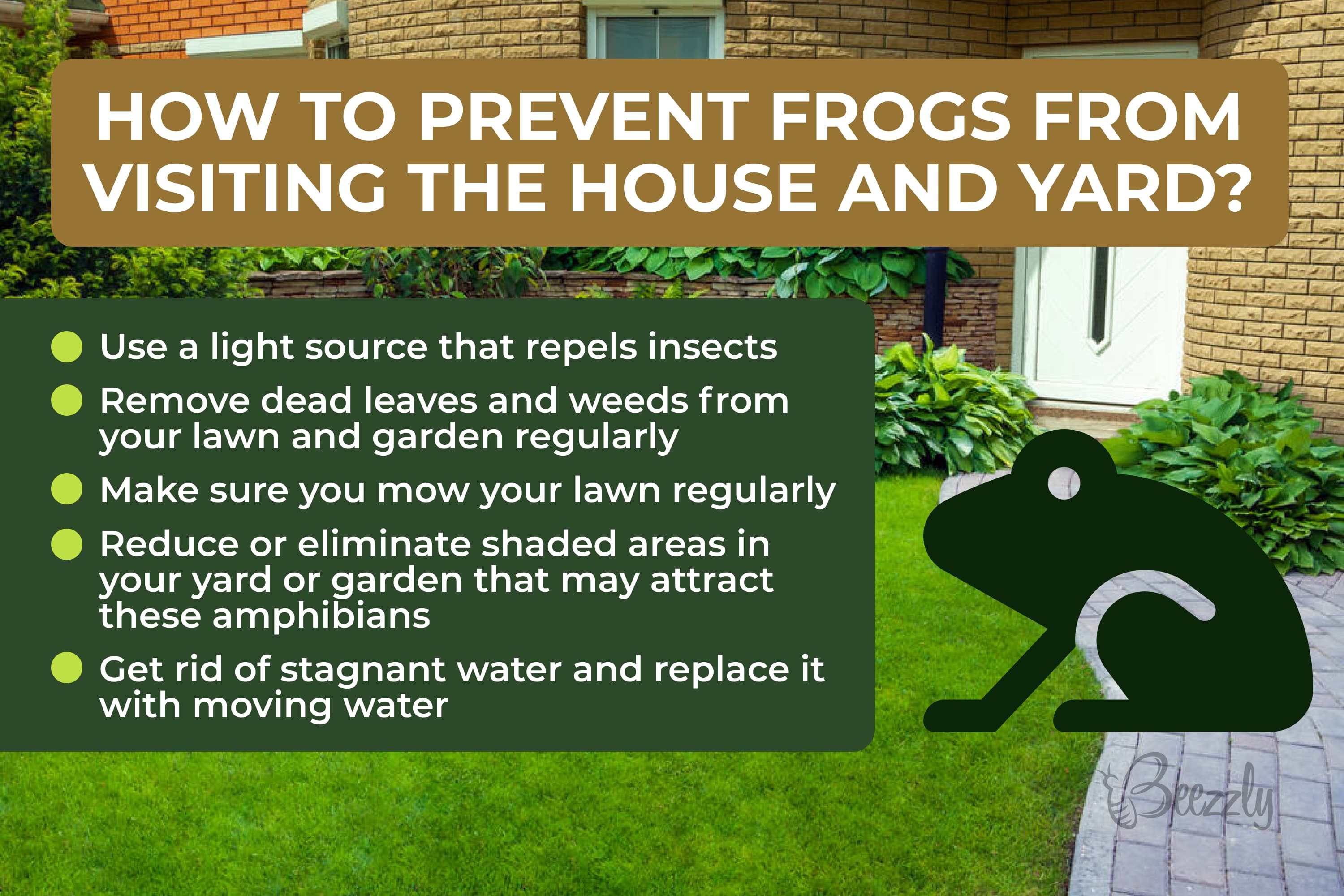 How to prevent frogs from visiting the house and yard