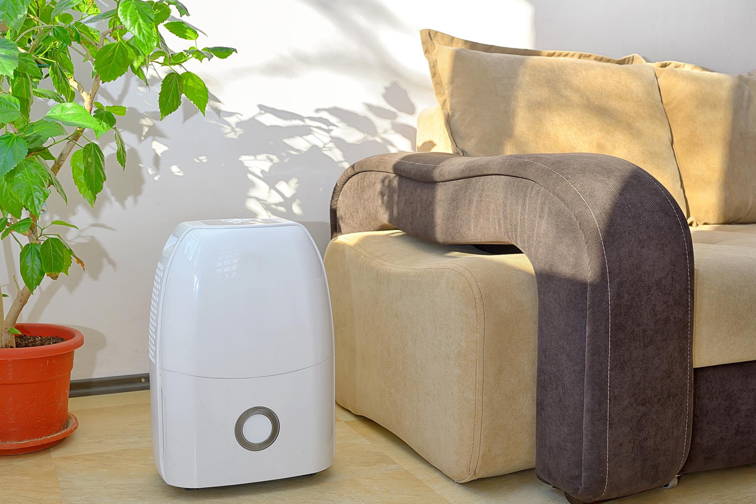 Opt For a Dehumidifier