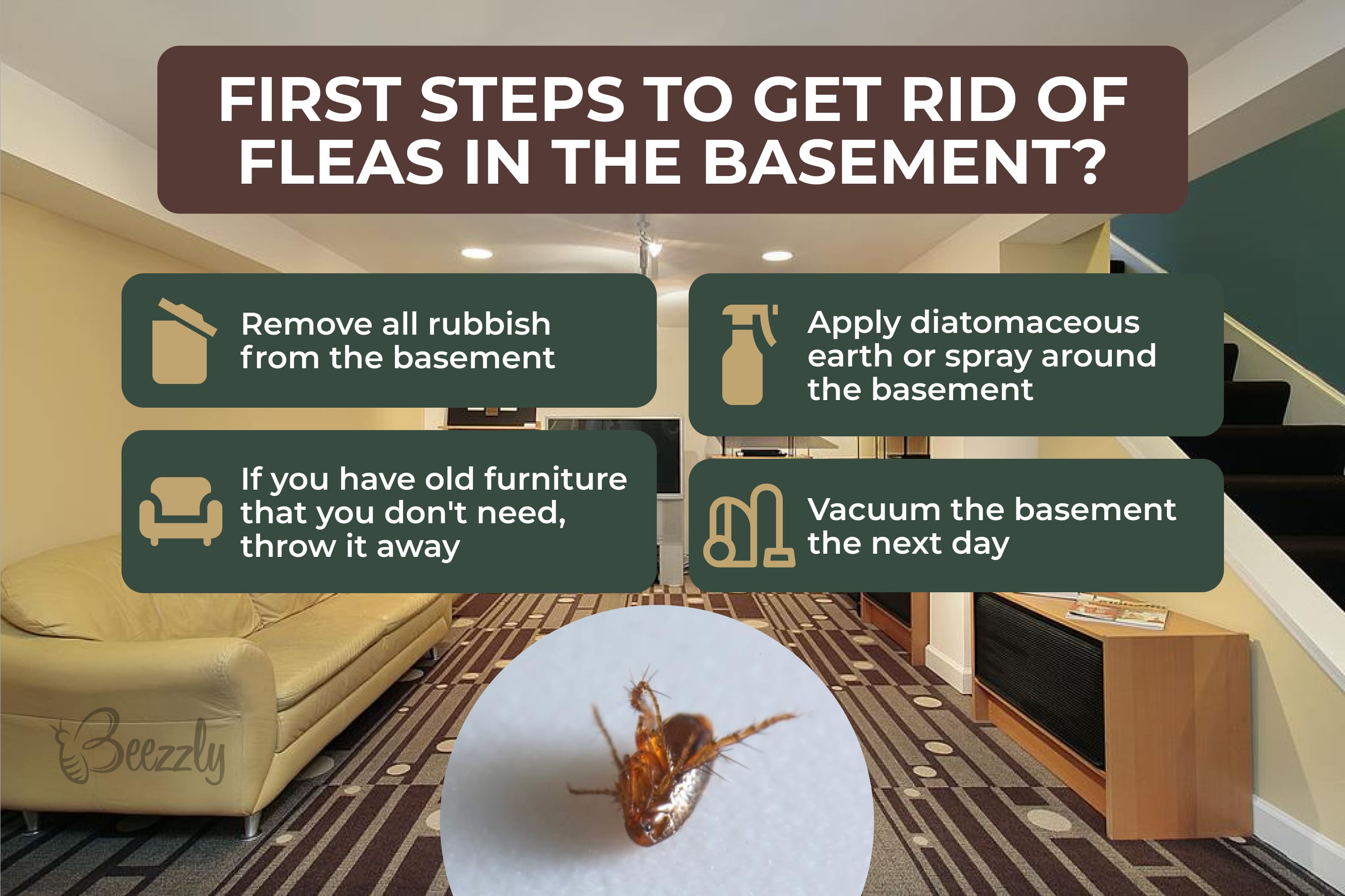 First steps to get rid of fleas in the basement
