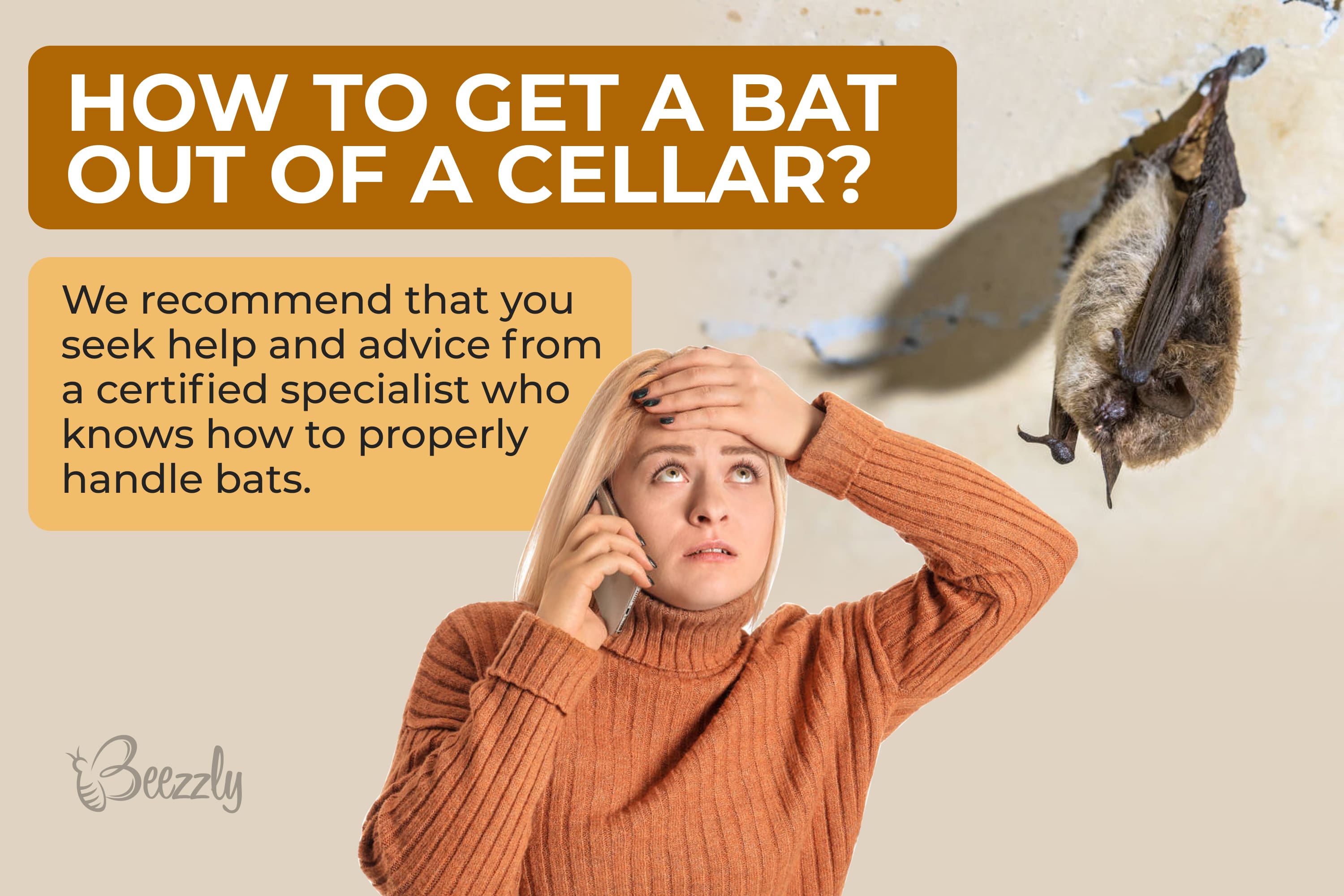 How to get a bat out of a cellar