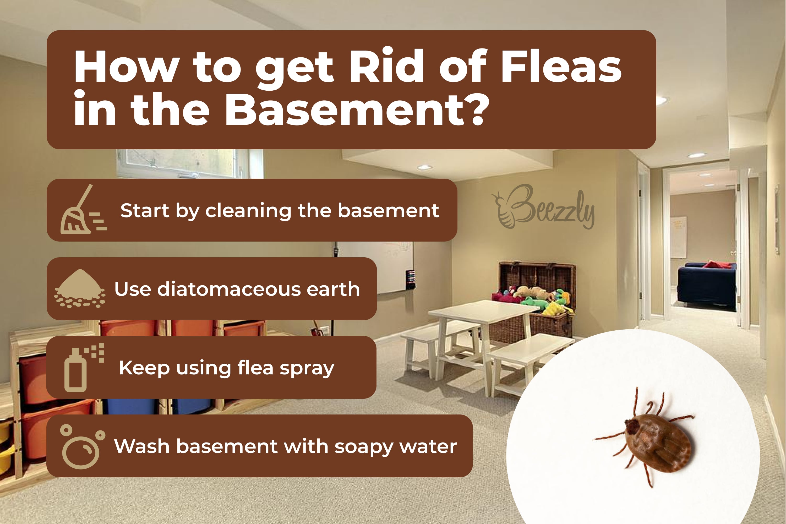How to get rid of fleas in the basement