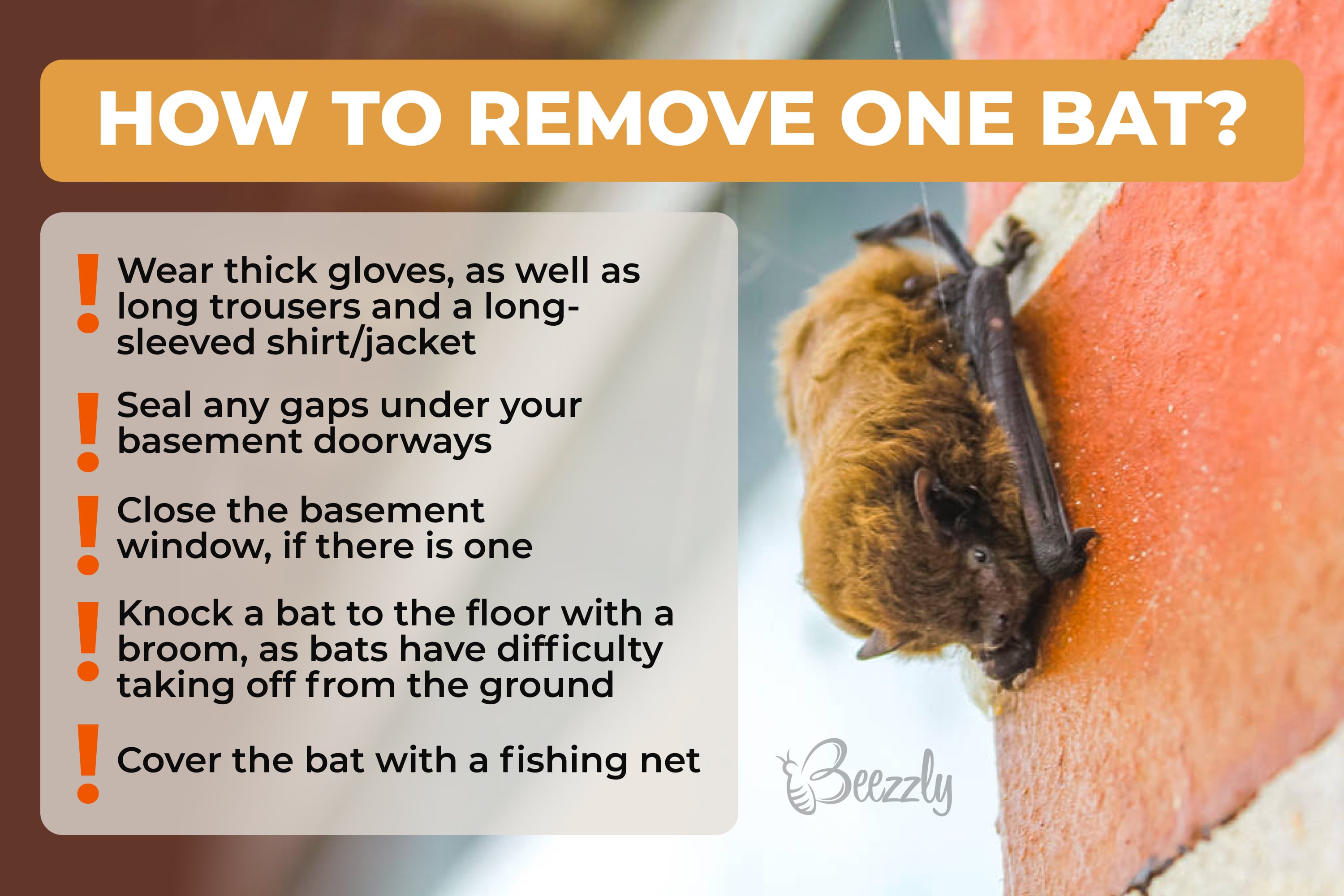 How to remove one bat