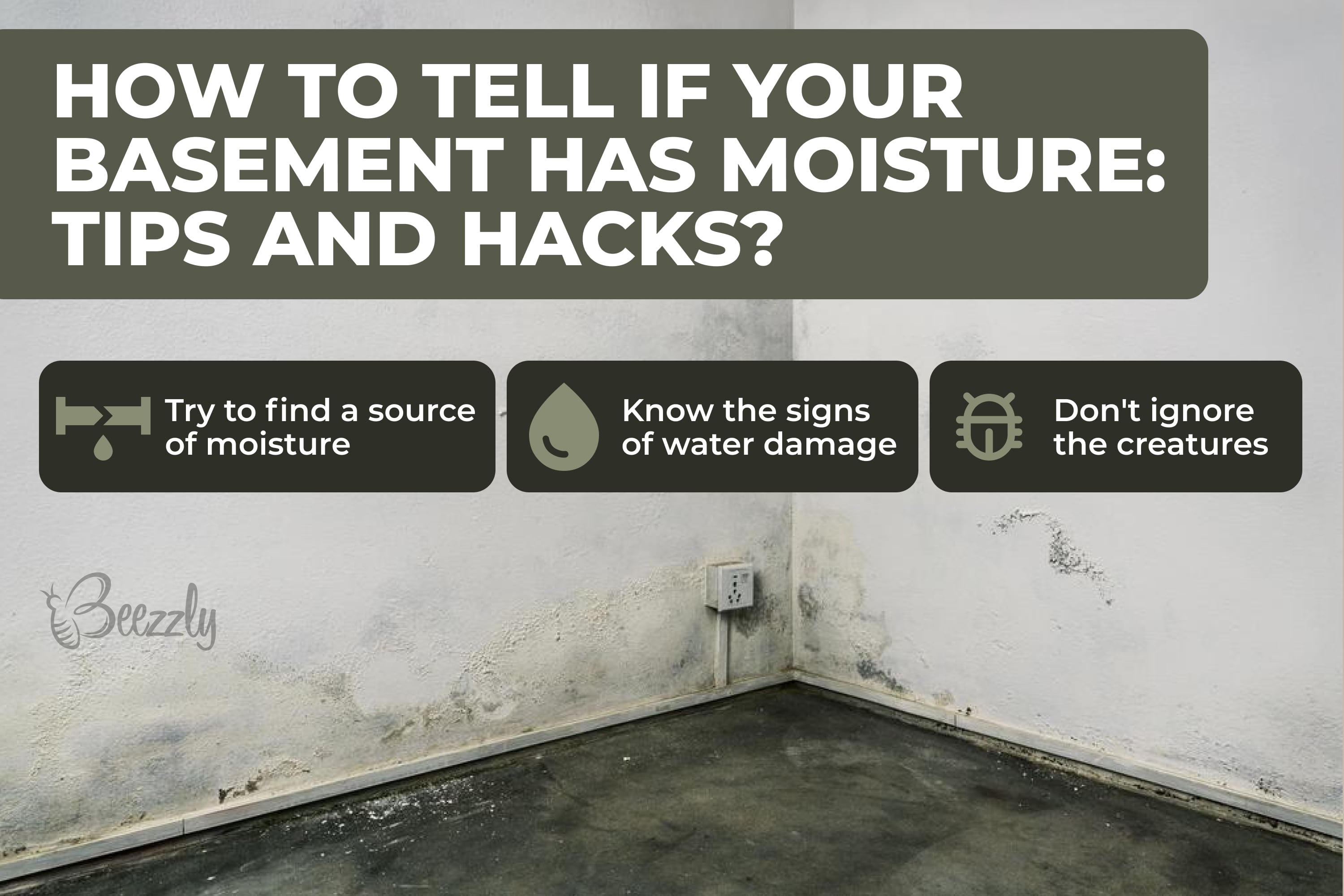 How to tell if your basement has moisture. Tips and hacks
