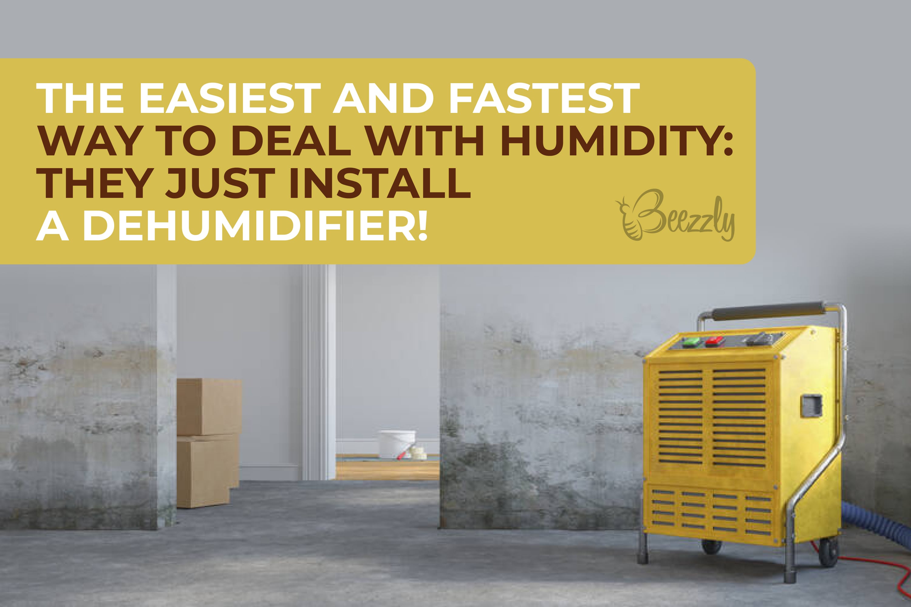 Opt For a Dehumidifier