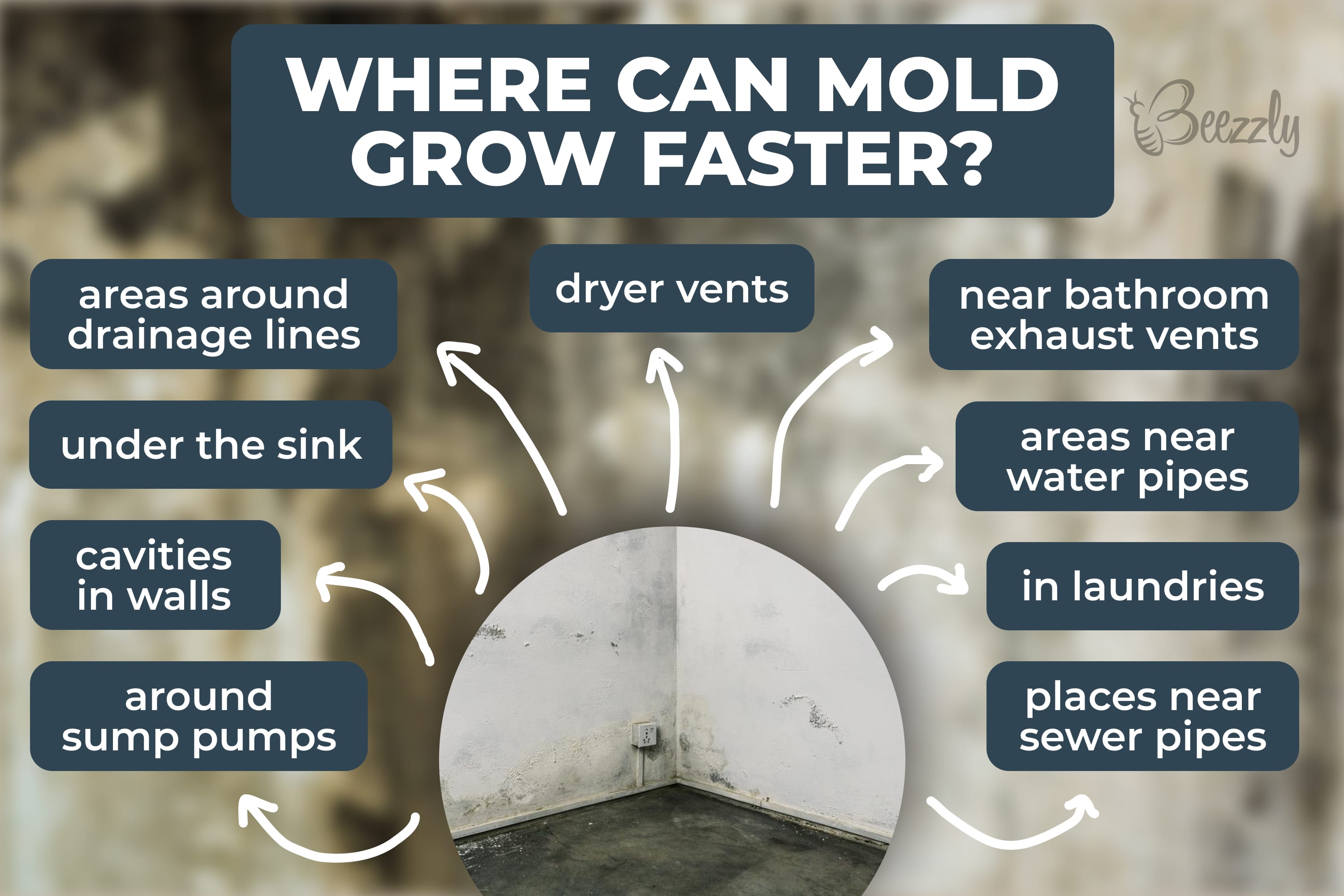 Where can mold grow faster