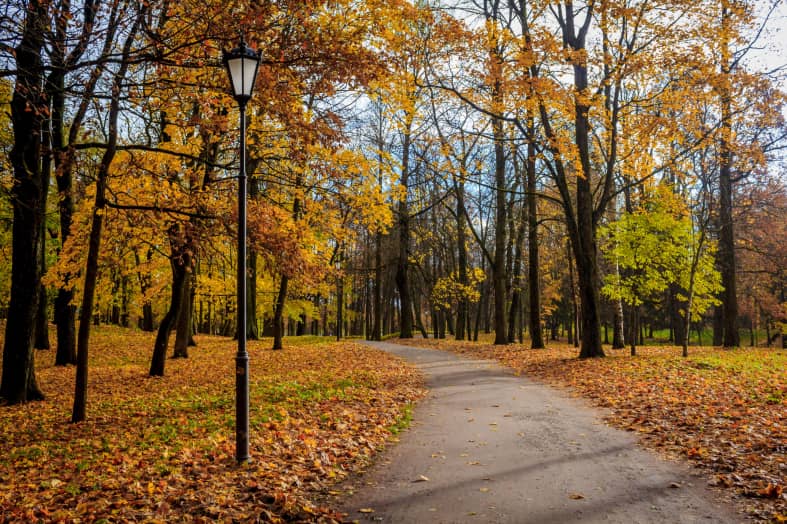 55 Best Outdoor Date Ideas