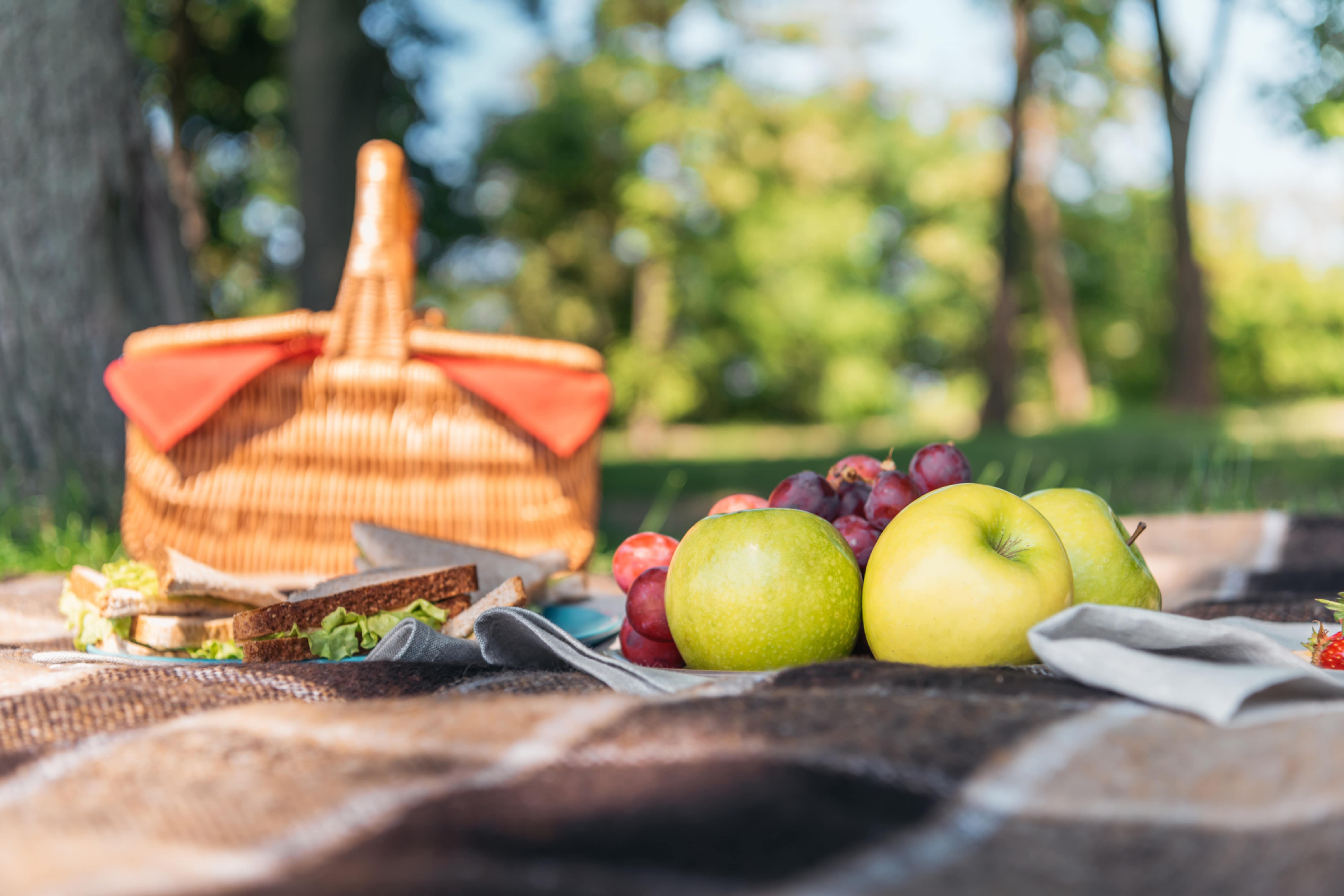 9. Have a Picnic