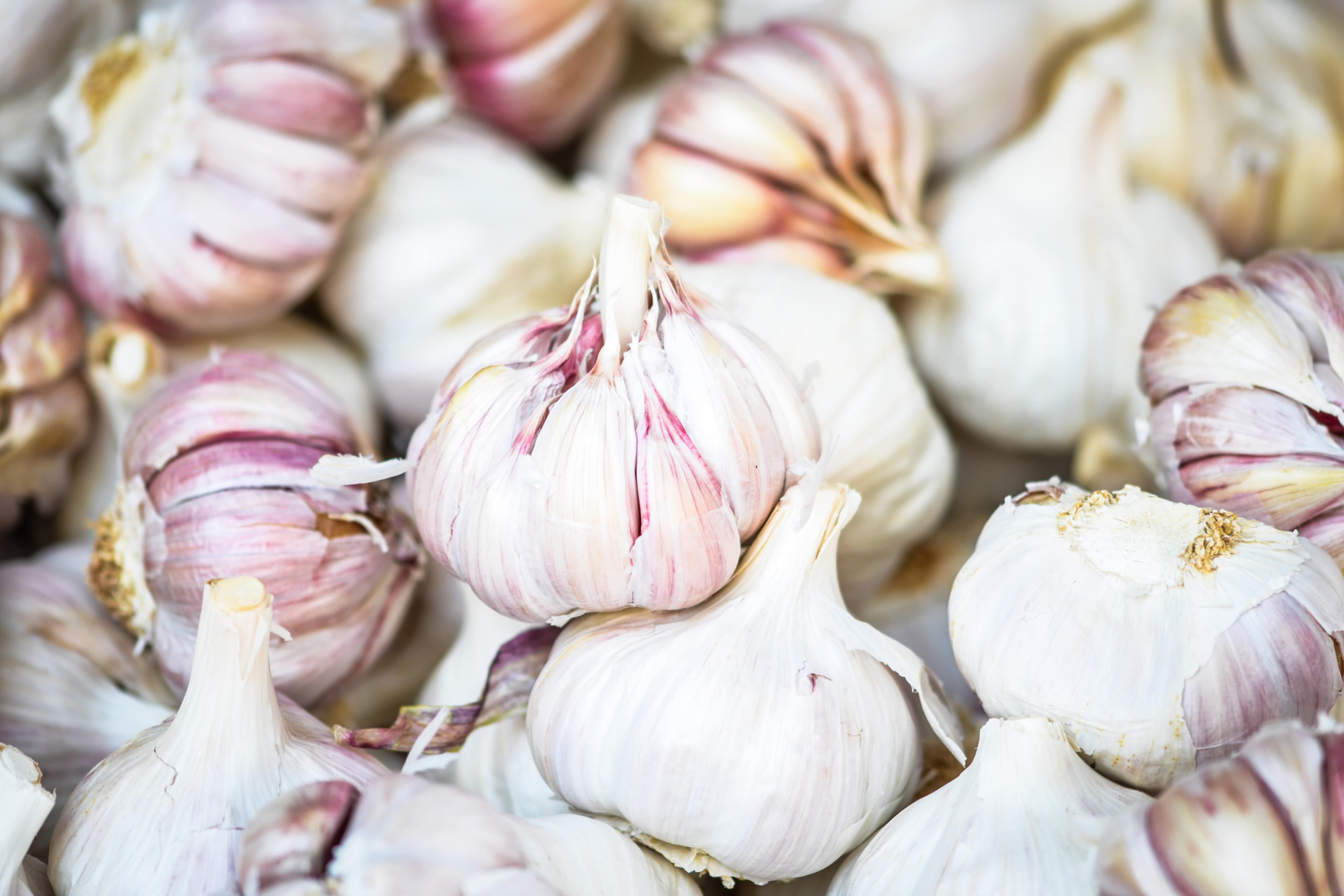 1. The Magical Properties of Garlic