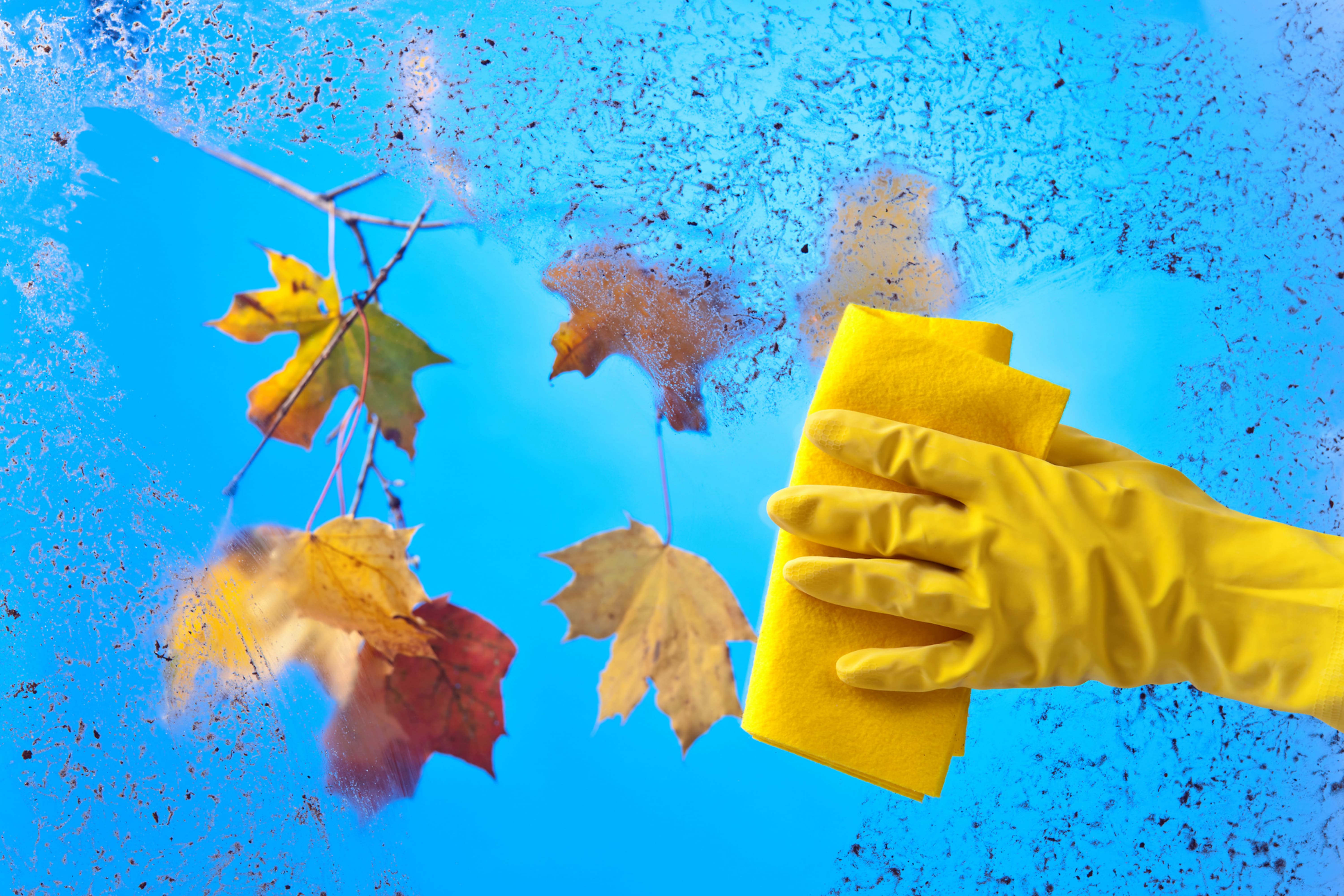 Fall Cleaning Checklist Preparing Your Home for the Cooler Months