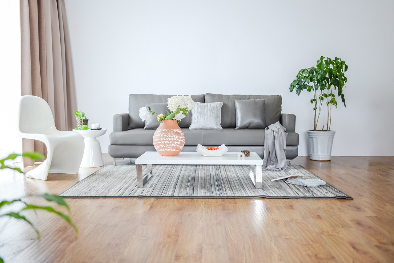 Indoor plants in a minimalist room