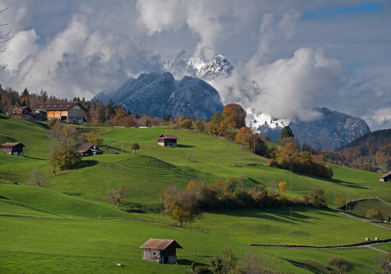 Scenic landscape of New Zealand with mountains and lush greenery.