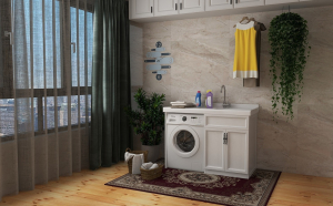 Washing Machine Area for Monthly Tasks