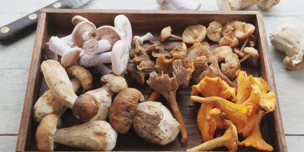 what can i substitute for mushrooms in a recipe