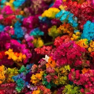 mexican art flowers